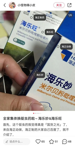 寵物保健食品 寵物經(jīng)濟(jì)中潛藏的新藍(lán)海